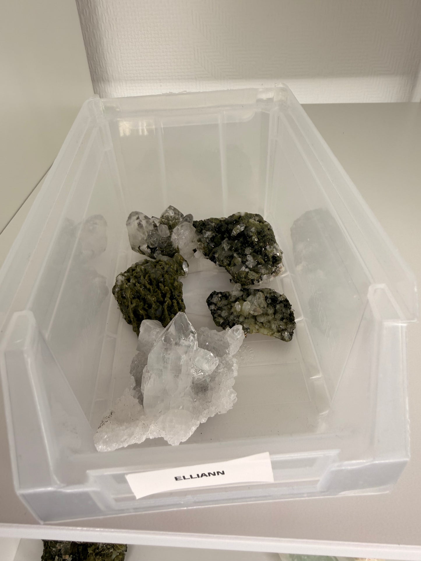 Ellianne Crystal live claims