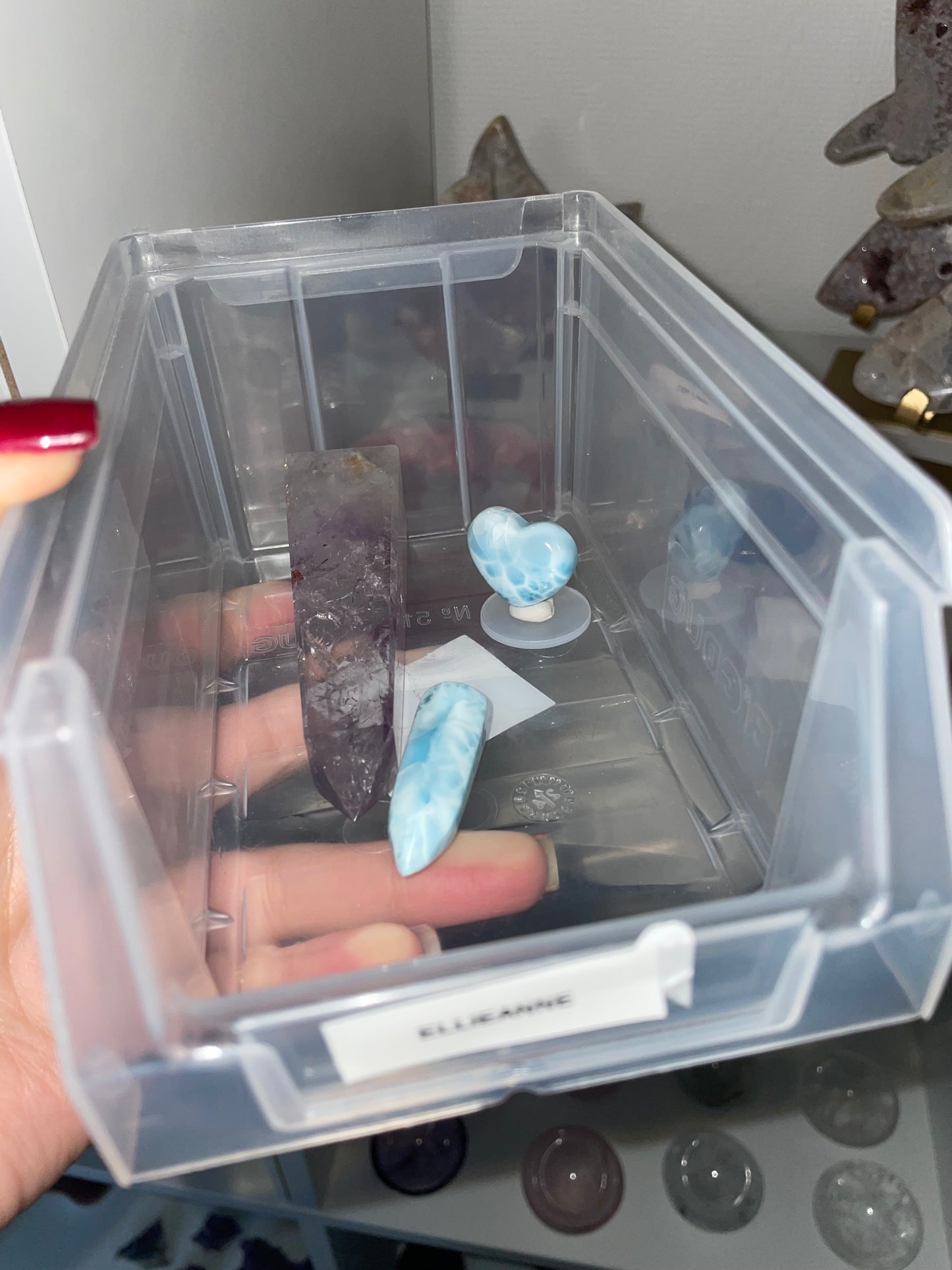 Ellianne Crystal live claims