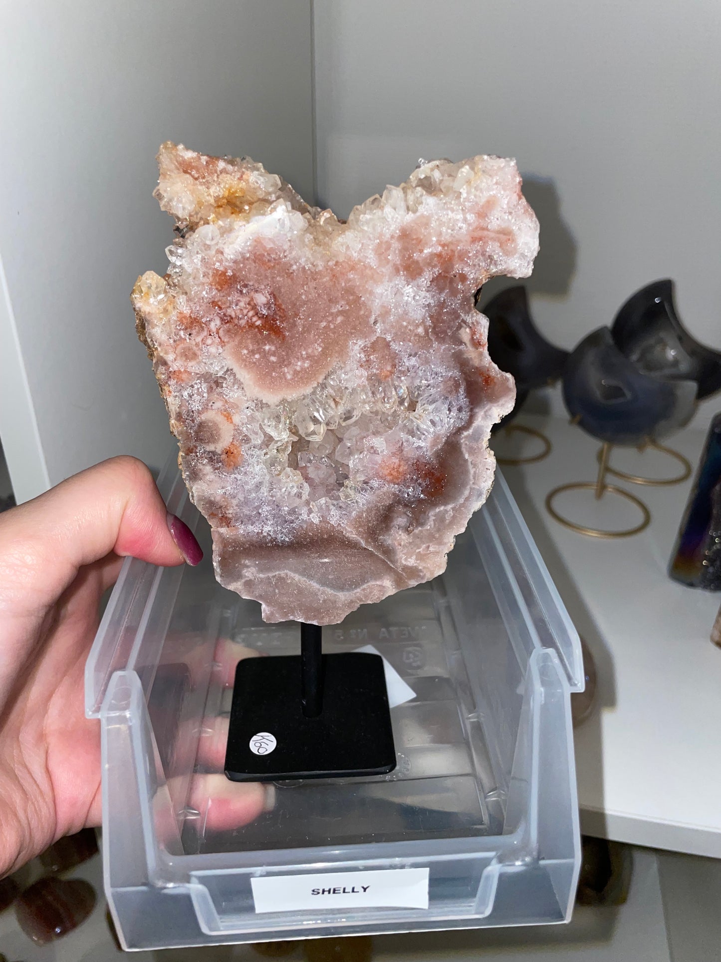Shelly Crystal live claims