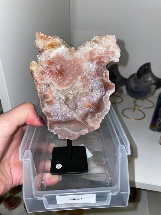 Shelly Crystal live claims
