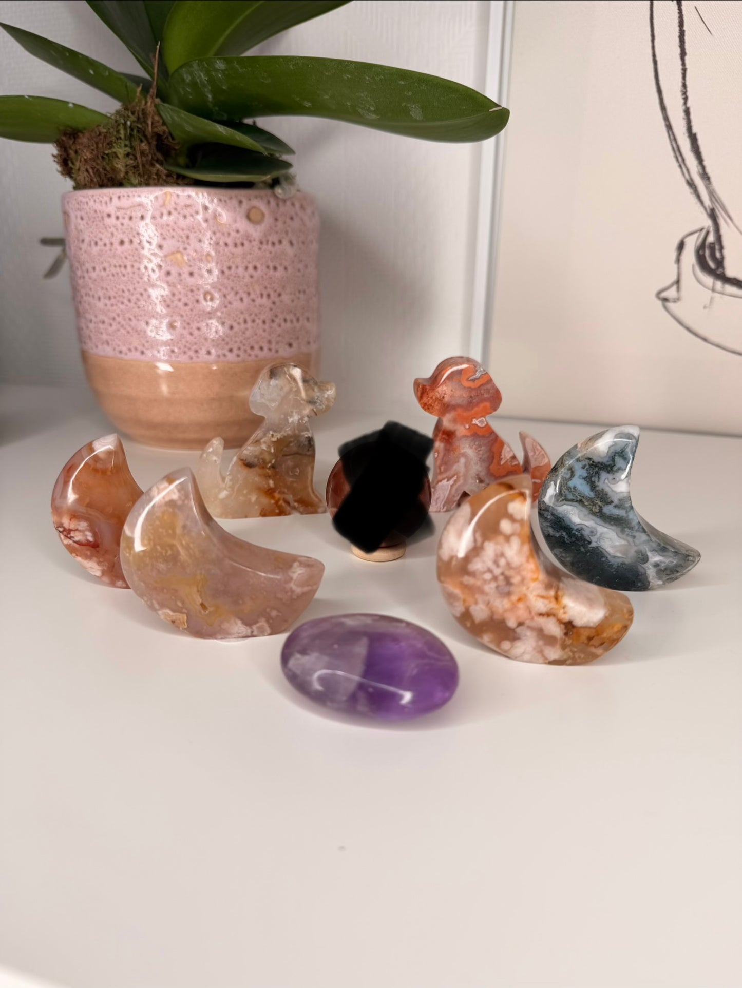 Rosie Crystal live claims