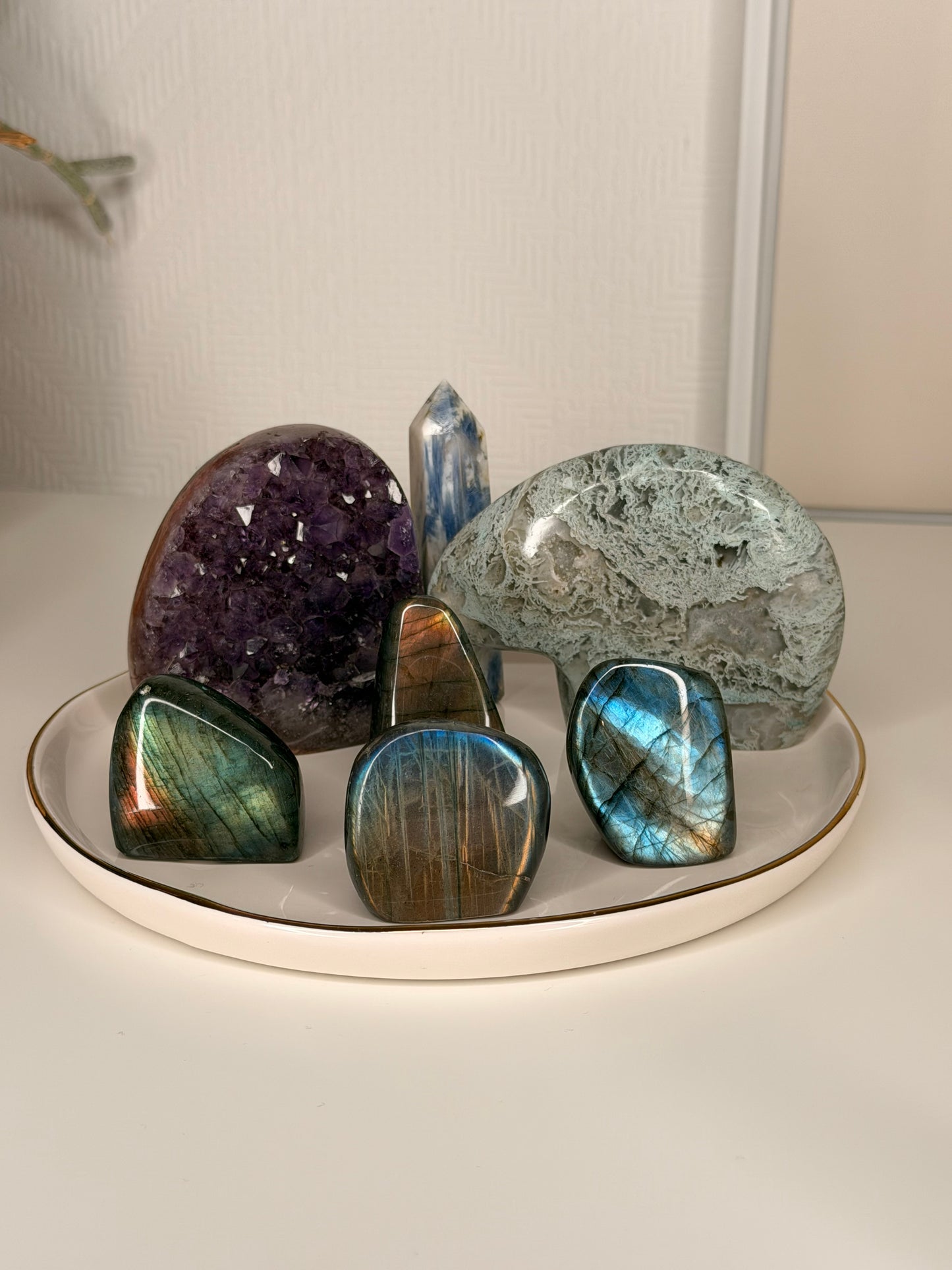 Meg Crystal live claims