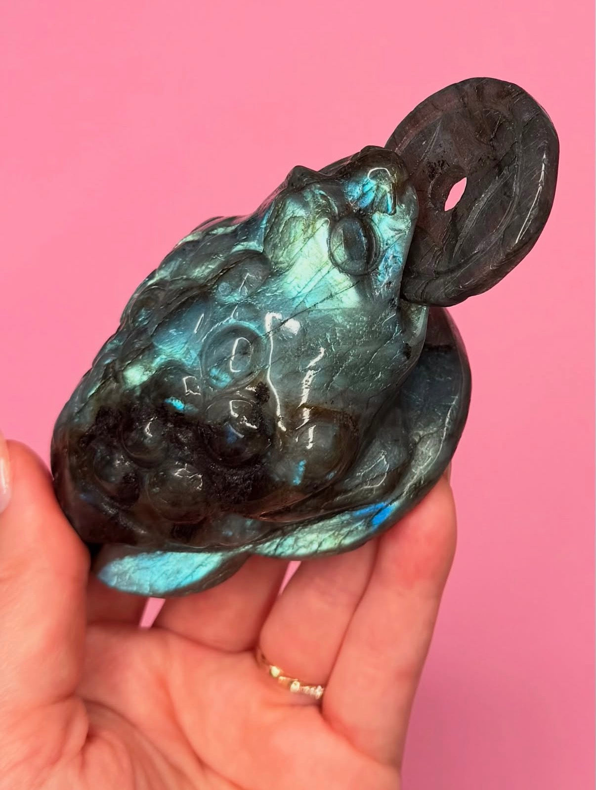 “Manifest That Money Toad” Labradorite Money Toad