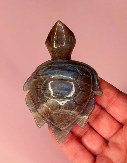 HQ Blue Flash Moonstone Turtle Carving