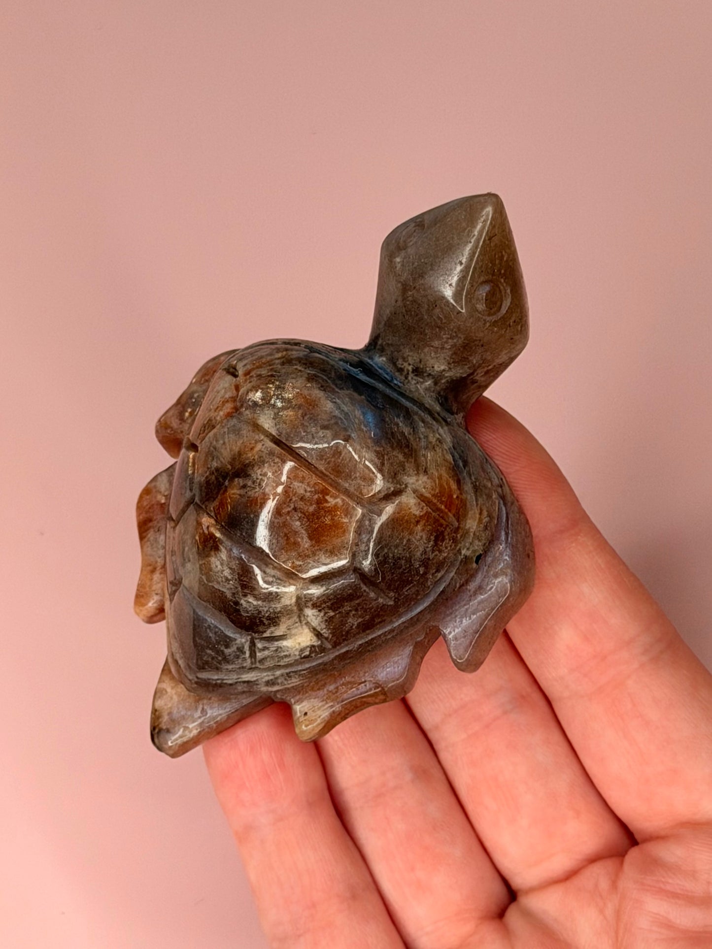 HQ Moonstone / Sunstone Turtle Carving
