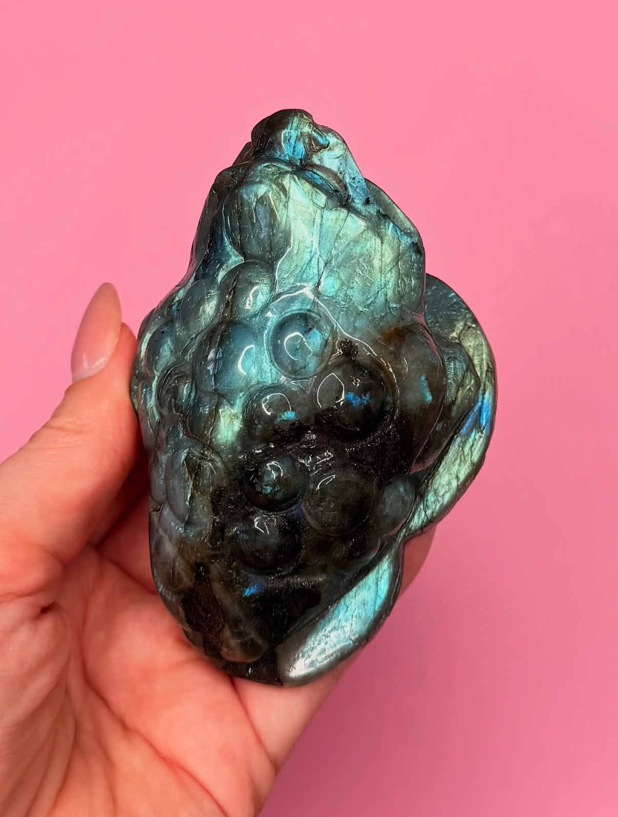 “Manifest That Money Toad” Labradorite Money Toad