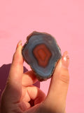 Swazi Agate Geode