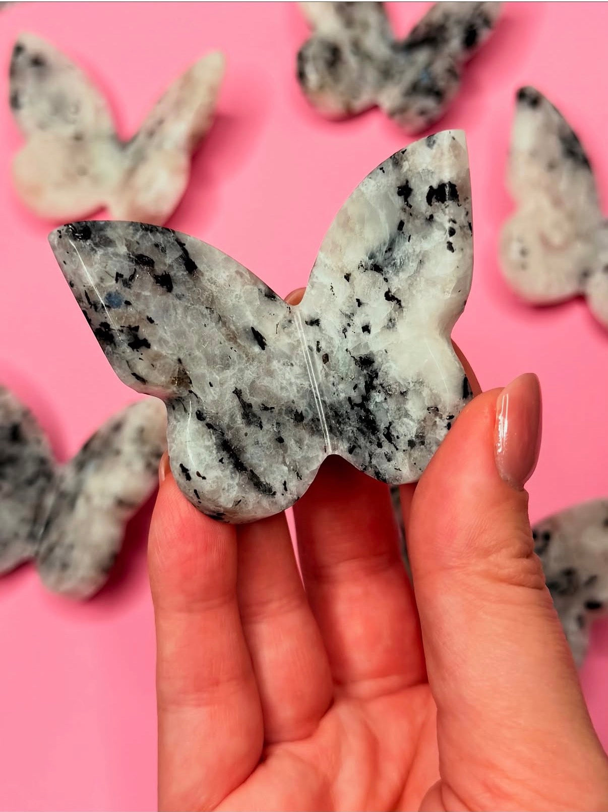 Rainbow Moonstone 3D Butterfly