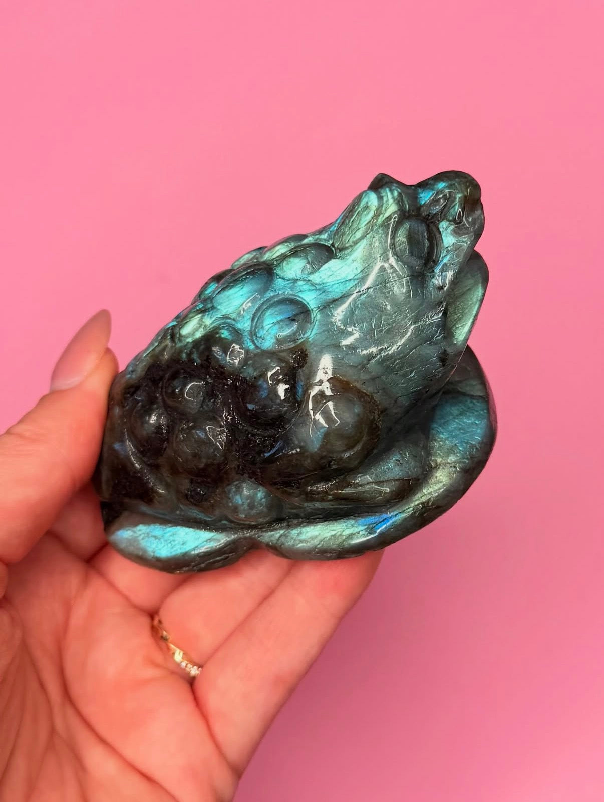 “Manifest That Money Toad” Labradorite Money Toad