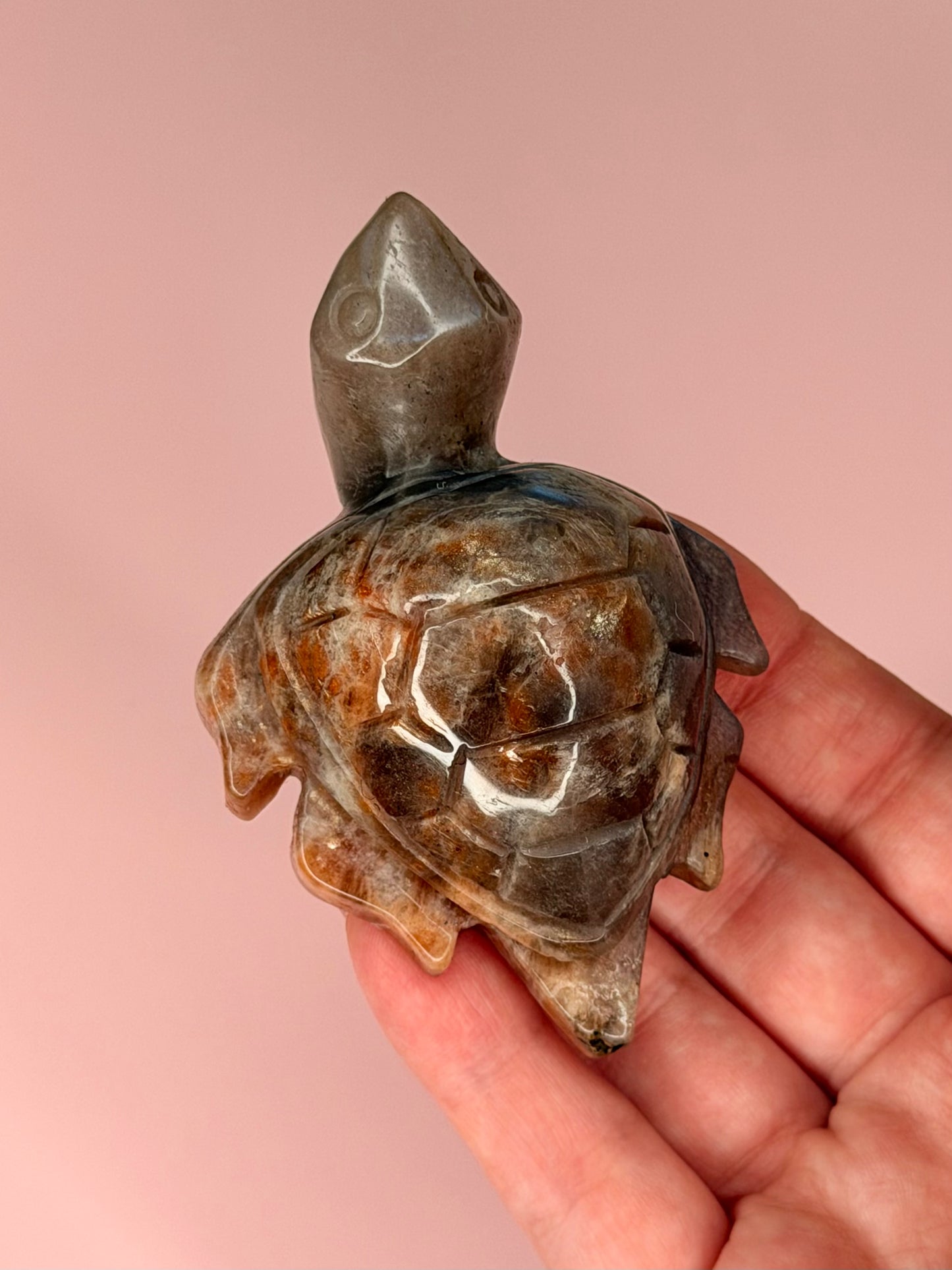 HQ Moonstone / Sunstone Turtle Carving