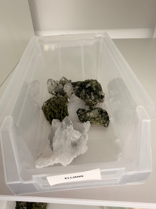 Ellianne Crystal live claims