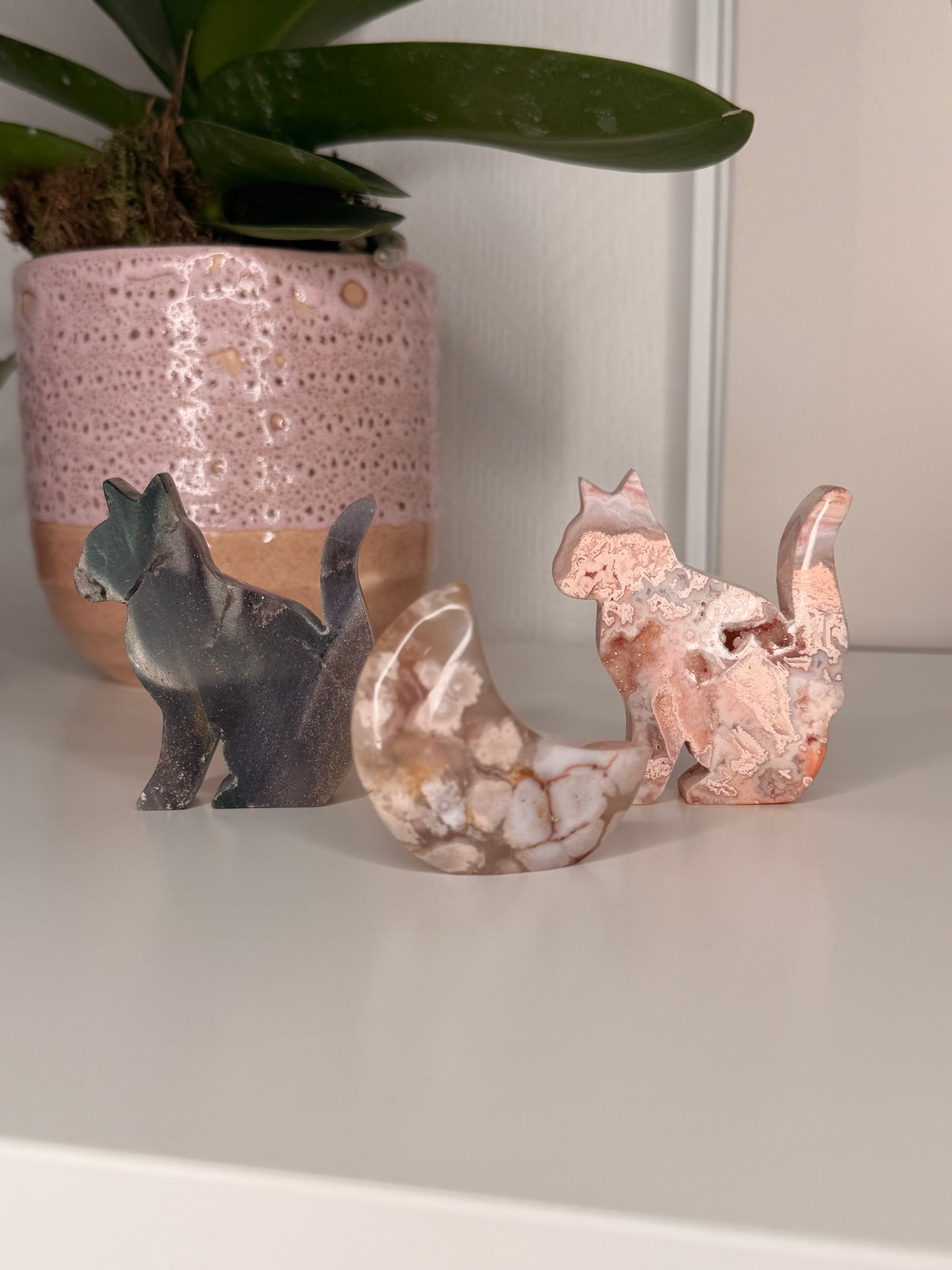 Hippo Crystal live claims