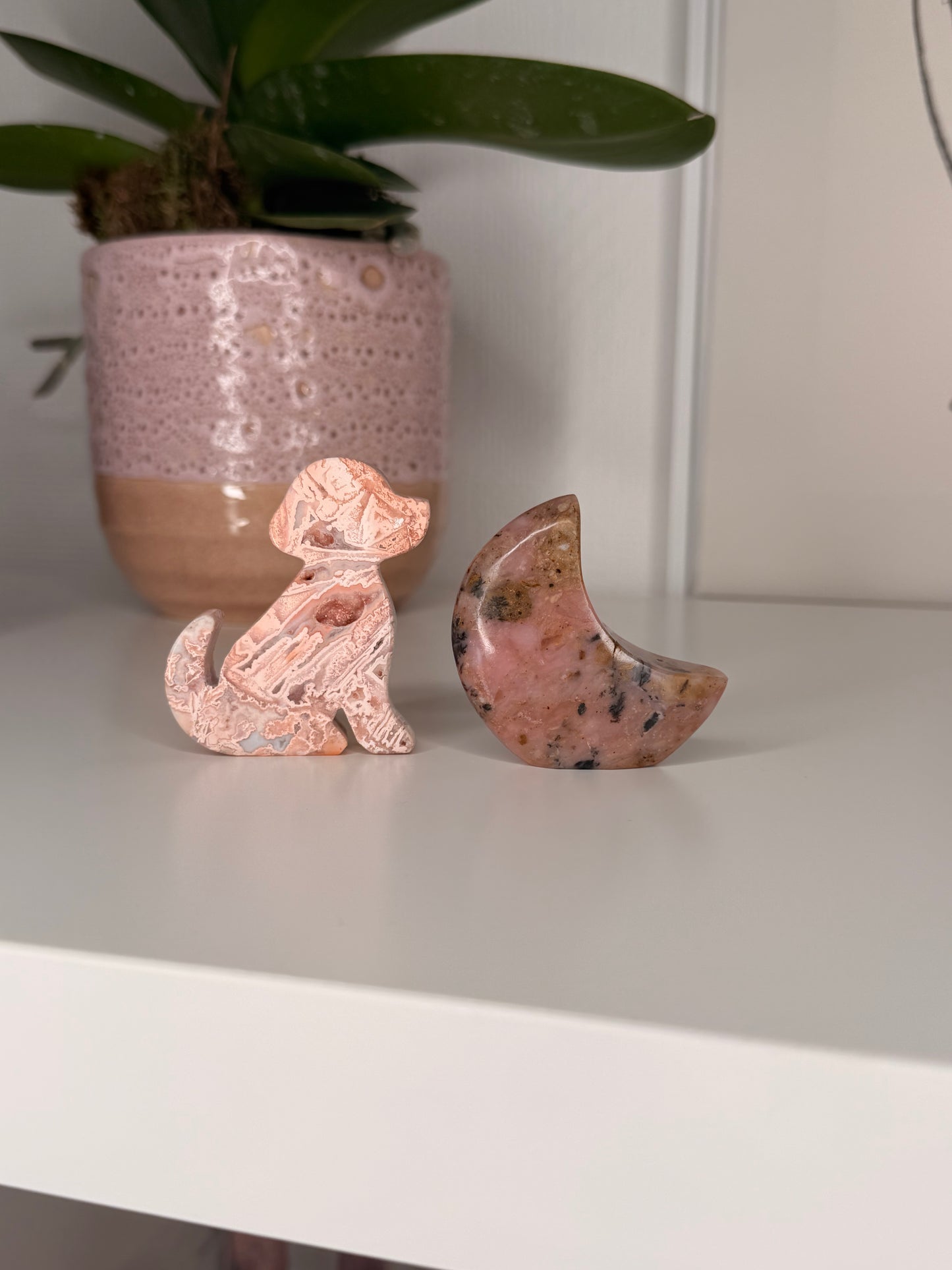 Naomi Crystal live claims