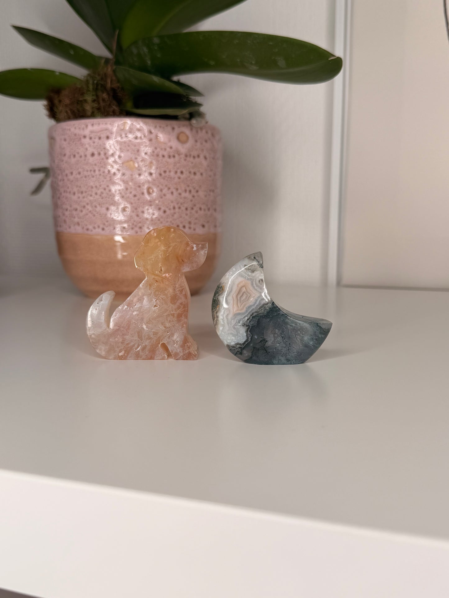 Fayelouise Crystal live claims