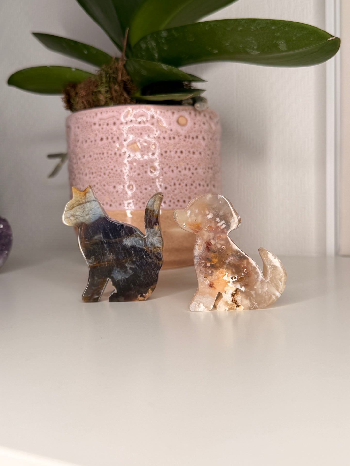 Dastibs Crystal live claims