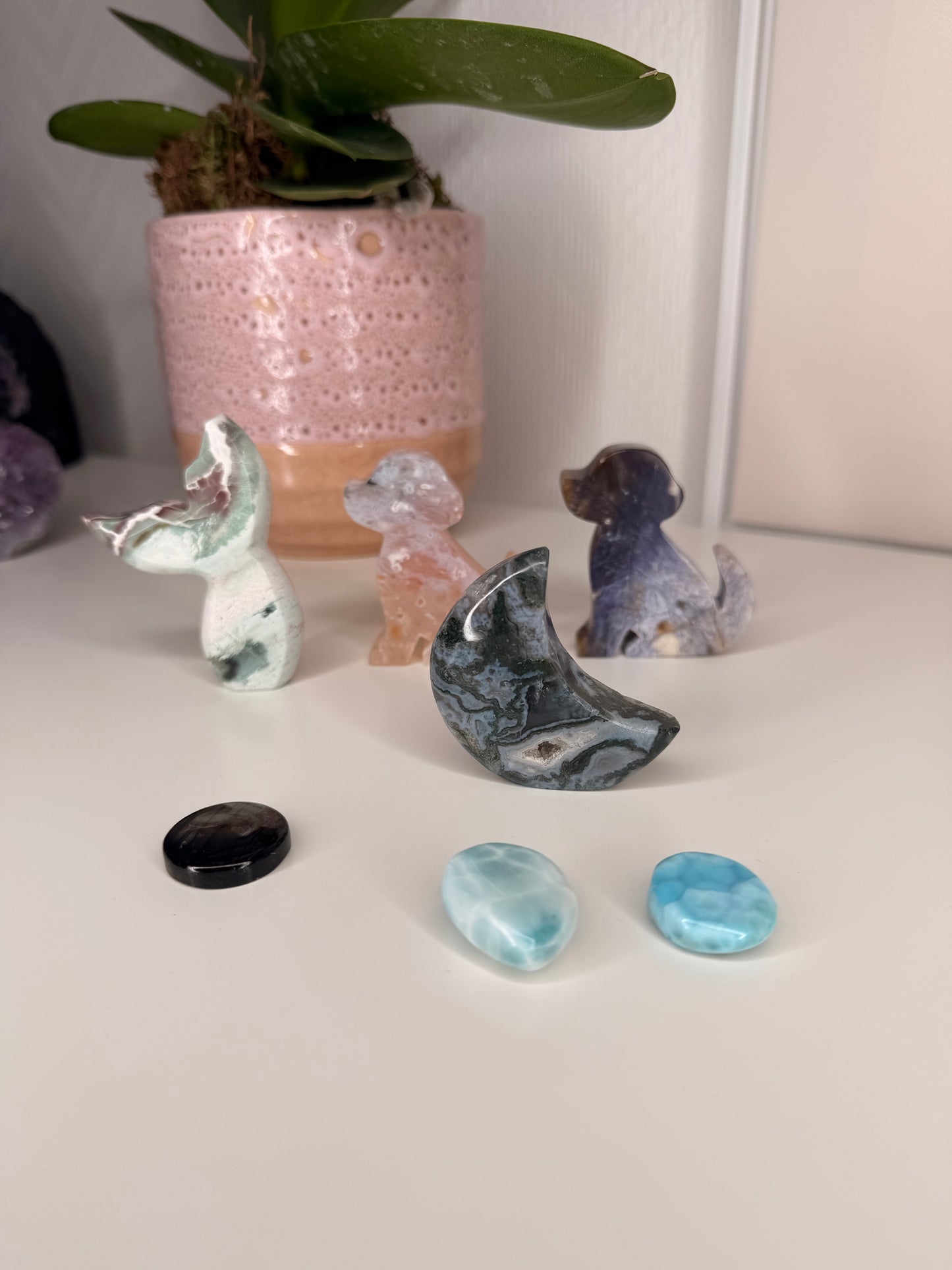 Megan Crystal live claims