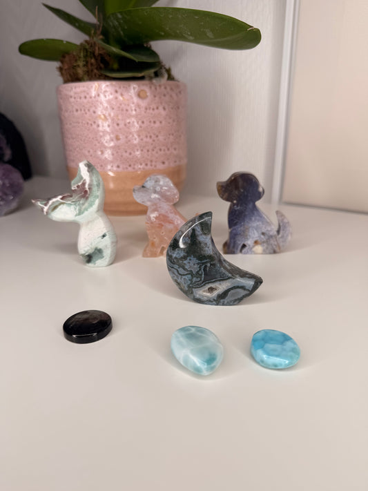 Megan Crystal live claims