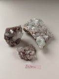 Ellianne Crystal live claims