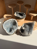 Hareem crystal live claims